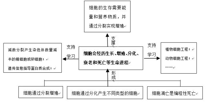 聚焦生物学重要概念的单元整体教学设计实践研究