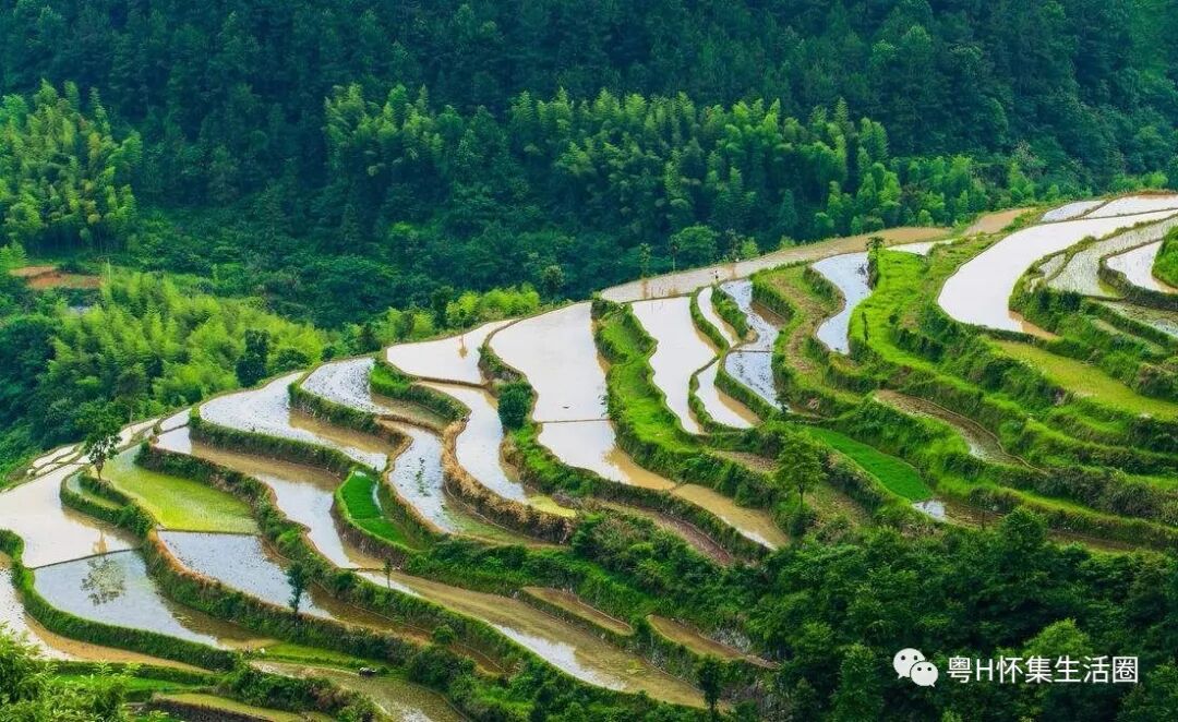 怀集大禾田已消逝的怀岭山村梯田景观文化