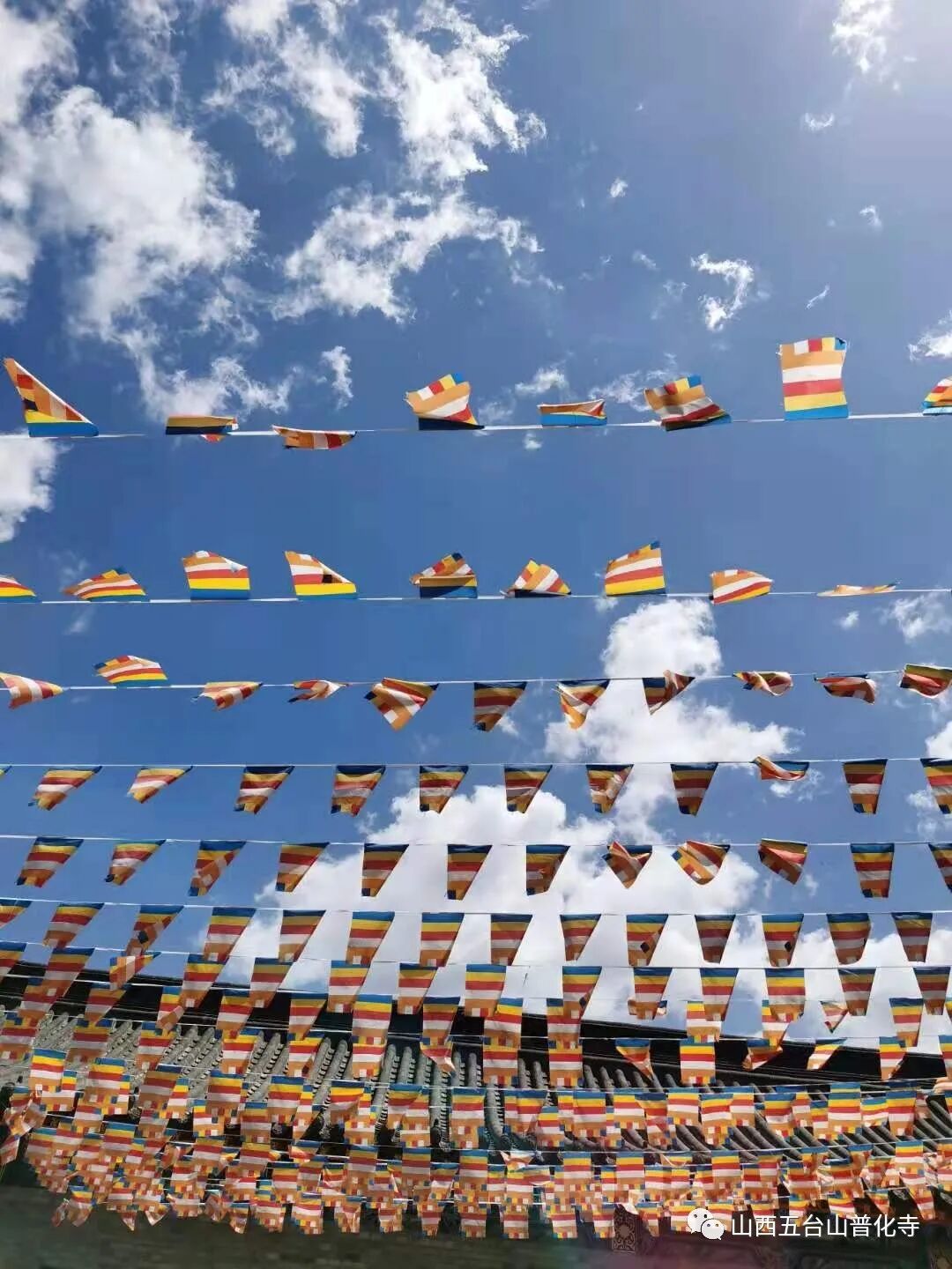 普化禅寺百日禅七之精进七起七