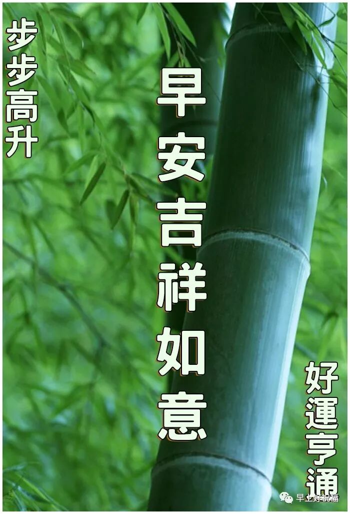 早上好表情图片大全早上好图片大全阳光 早上好祝福 微信公众号文章阅读 Wemp