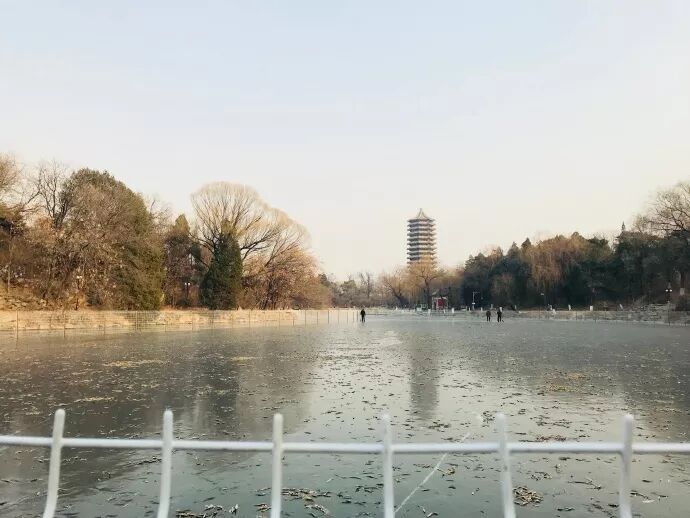 北大新媒体研究院与新传的区别_北京大学新媒体研究院_新媒体研究所