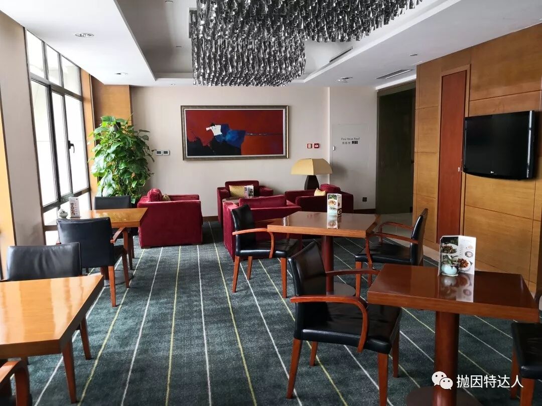 10K希尔顿积分房的体验到底有多棒？沈阳希尔顿逸林酒店入住体验报告