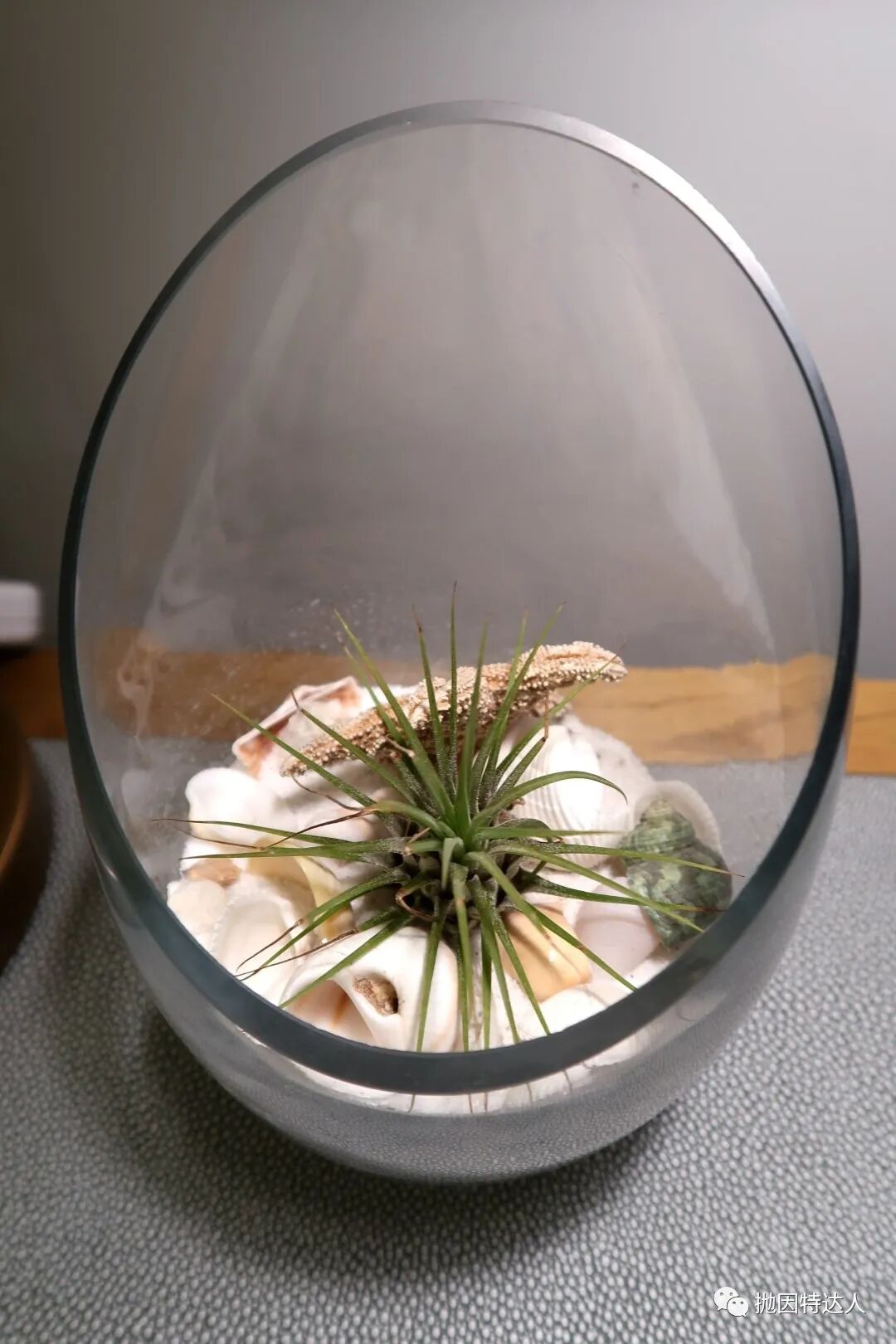 悬崖峭壁上的波澜壮阔 - 半月湾丽思卡尔顿酒店 (The Ritz-Carlton Half Moon Bay)入住体验报告