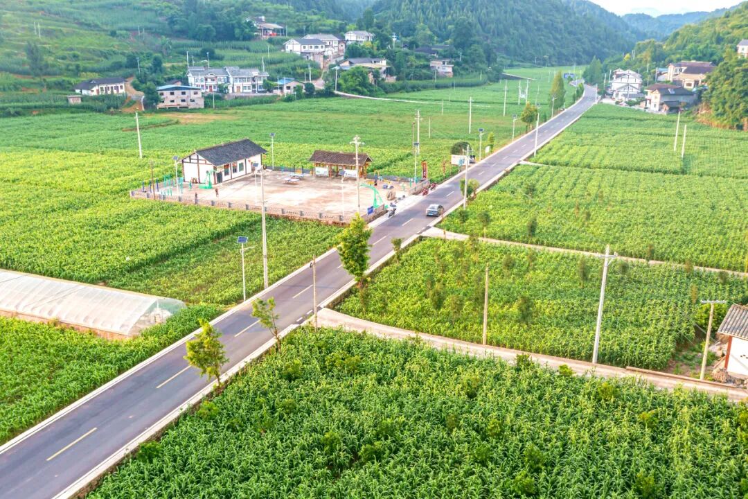 贯彻落实县委全会精神丨石莲镇:在"特色田园乡村·乡村振兴集成示范