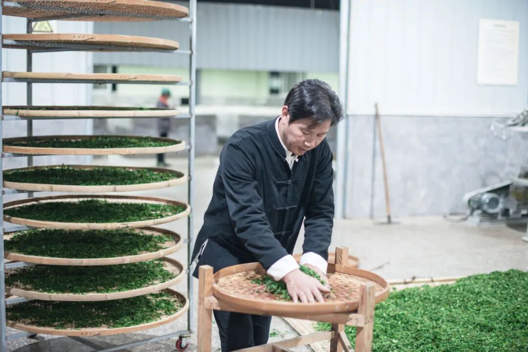 国茶人物·制茶大师丨叶文盛:专心做好茶