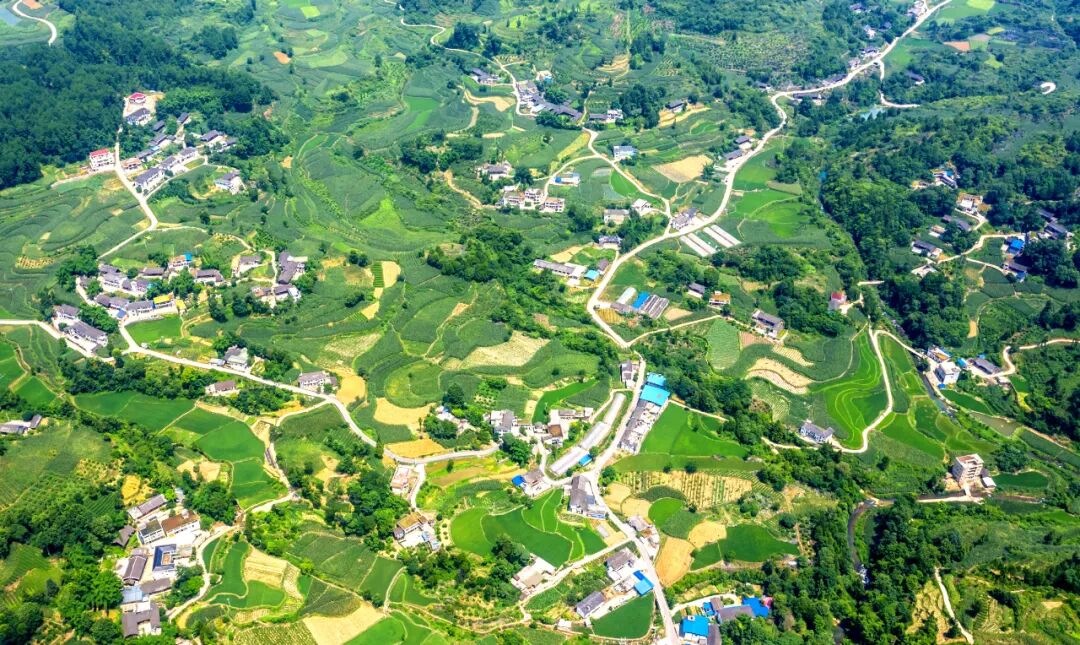 学习贯彻中共湄潭县委十三届七次全会精神丨石莲镇