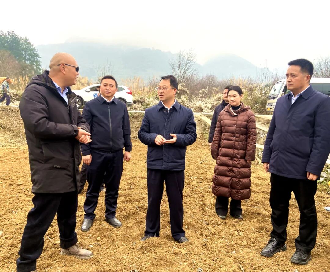 沈建通到天城镇,抄乐镇调研农业农村工作-湄潭县人民政府