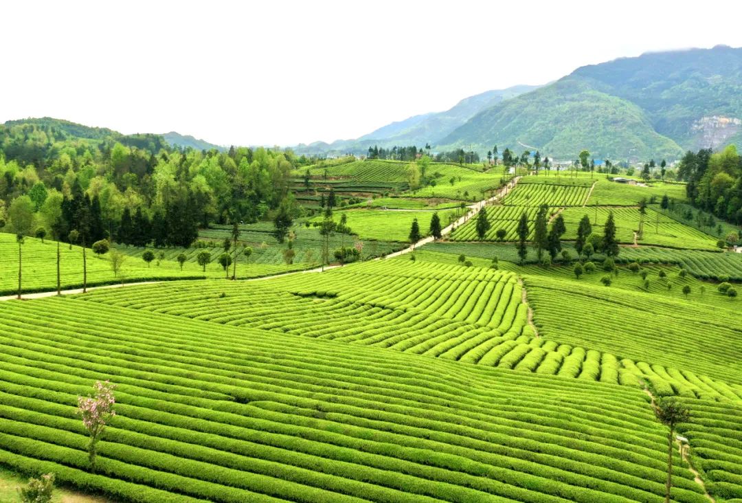 湄潭风景图片图片