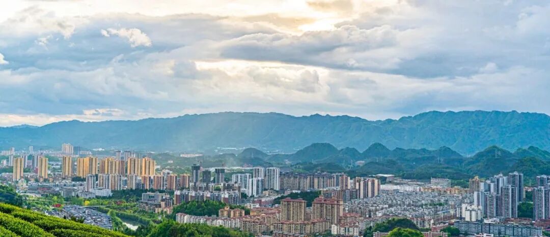 喜迎茶博会丨春到湄潭 慢享时光-湄潭县人民政府