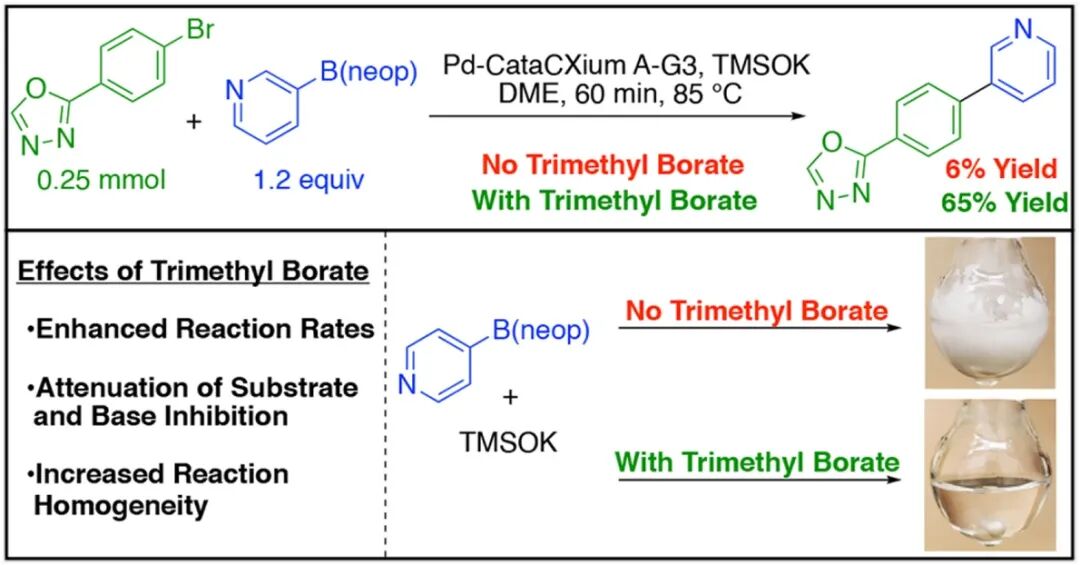 硼酸三甲酯促进的Suzuki-Miyaura无水条件偶联反应 第2张