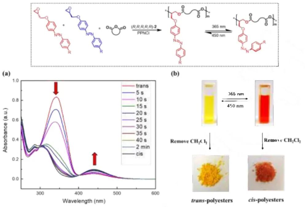 大连理工大学吕小兵教授课题组Angew：光控高分子的结晶态-无定形态可逆转变的图4