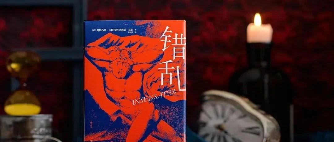 我们用笑来抵御精神错乱：一部“关于见证”的小说