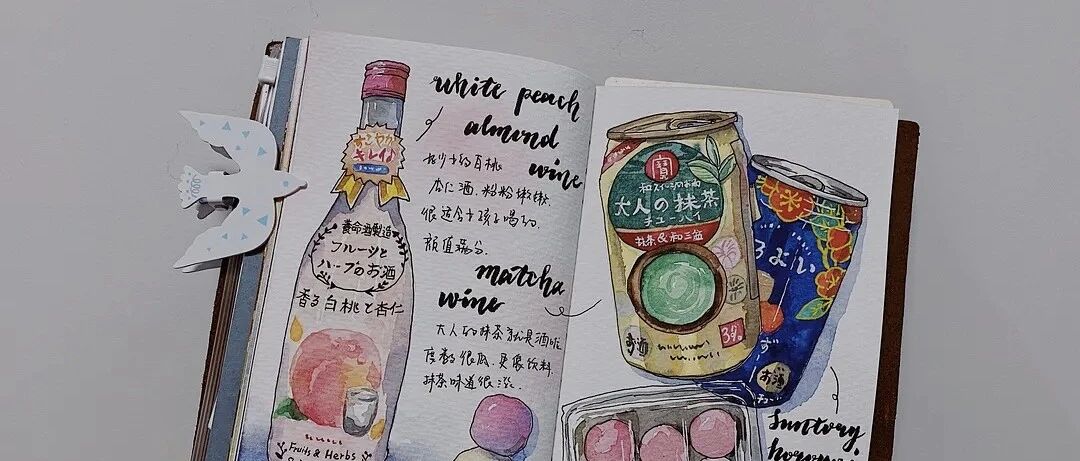 好看！好玩！手帐控、数据控和颜控不可错过的一本书