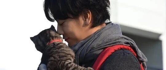 12件猫咪主题人气小物，治愈暖萌一整冬丨周末清单