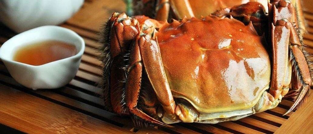 大闸蟹、青柑茶、火晶柿、糖心薯…一期一会的秋季美食推荐丨周末清单