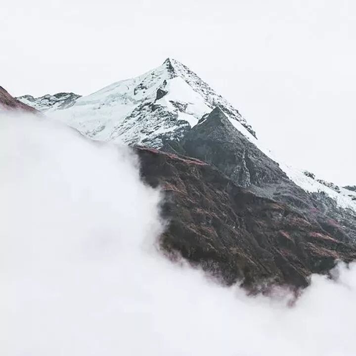 樸術┃從前與你相隔雪山