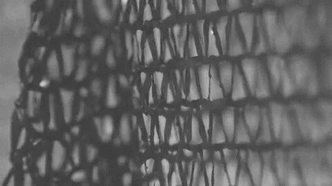 樸術 ┃ VOL.1 Origin