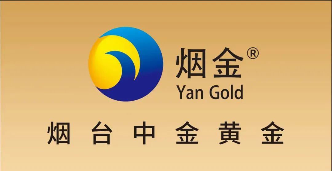 银行白银价格查询_中国银行白银价格_中国白银走势国内白银价格