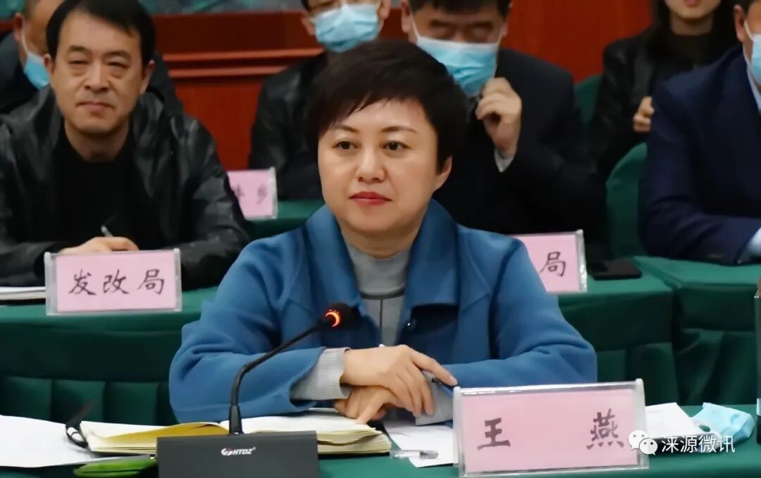 县委书记陈英民县长王燕与保定市文发集团董事长张墀一行对接洽谈