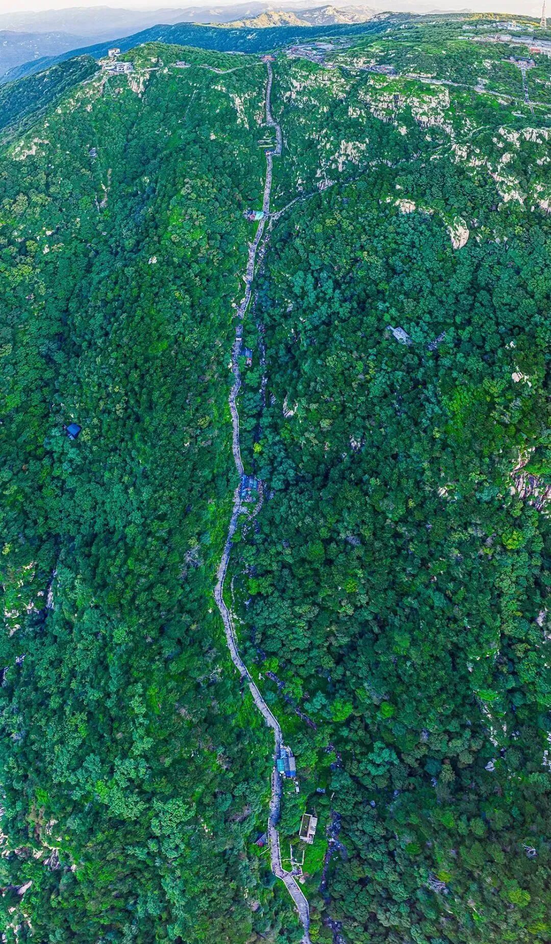 主打一个五彩斑斓谁能拒绝山东的多巴胺美景