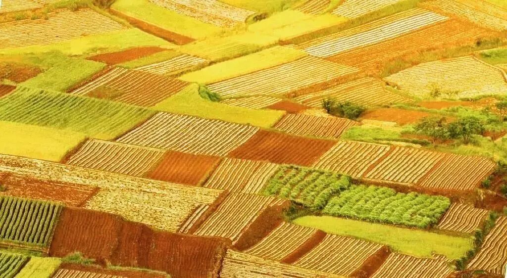 主打一个五彩斑斓谁能拒绝山东的多巴胺美景