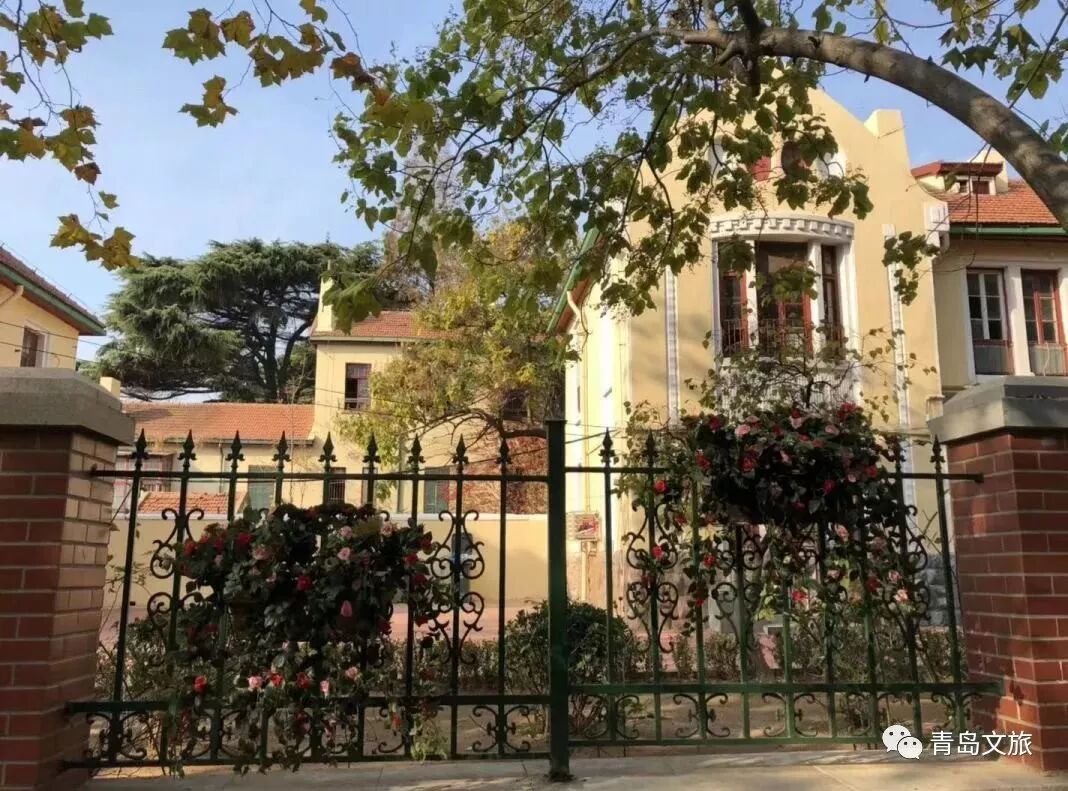 吕美荪,梁实秋,童第周,冯沅君,陆侃如,束星北……这条路上的每个院落