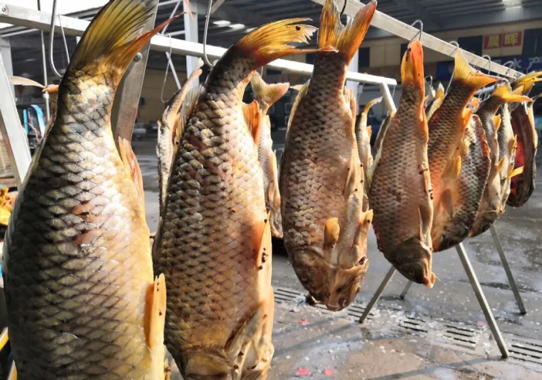 当阳光透过风干好的鱼时,通红通红的鱼身再加上不断飘来的香气,不多带