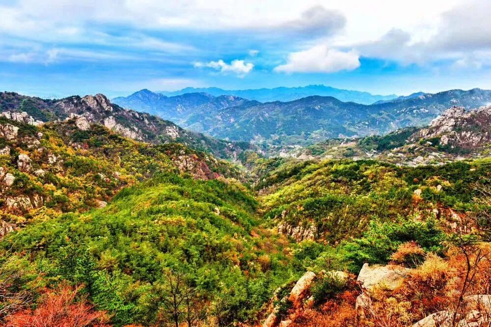 枕山宿海海边民宿5日冬游记