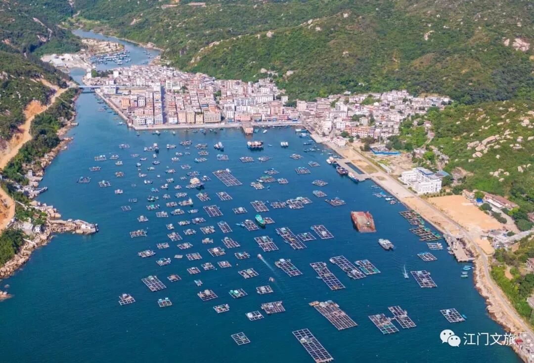 前往广海渔人码头挑选生猛海鲜,午餐享用美味海鲜大