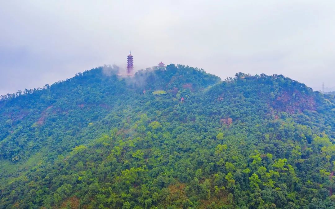 大雁山 彭偉宗攝注意事項:大雁山森林公園實行預約登記,實施分流