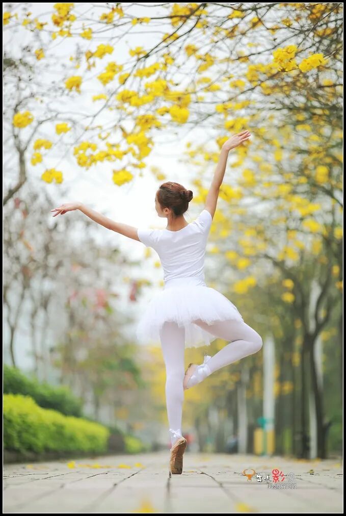 江门当芭蕾遇见一座有背景的城市