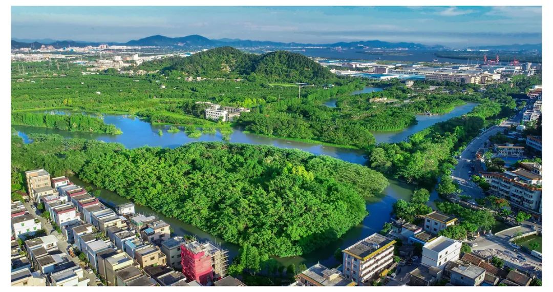 新會區小鳥天堂 陳立武攝鶴山市梁贊故居 羅開傳攝恩平泉林黃金小鎮