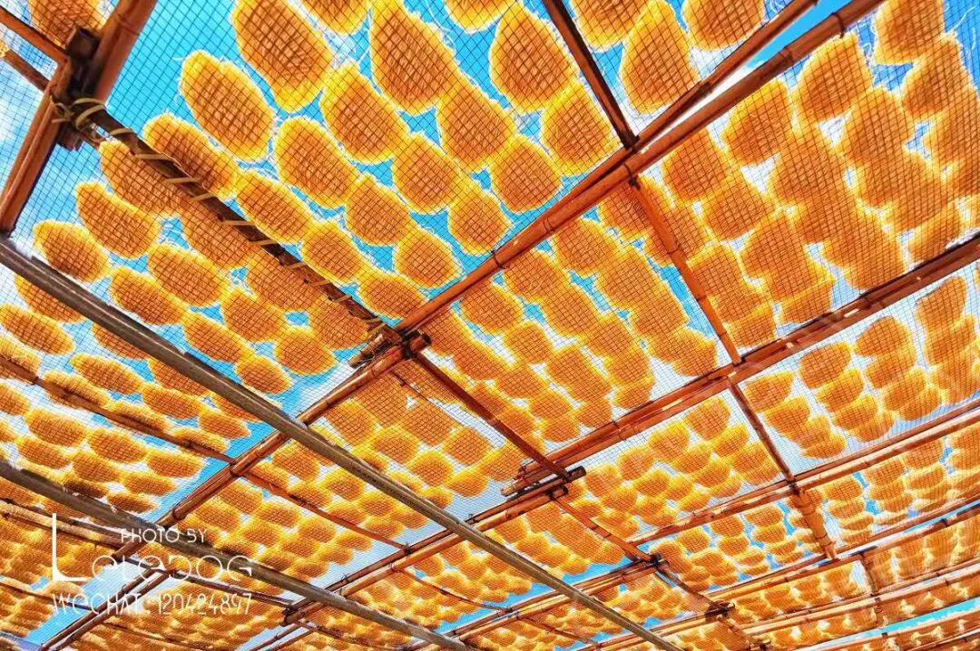 打从娘胎开始,陈丽娟就陪着父母做外海面,和家人在一间小平房里一起揉