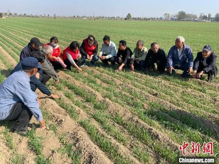 山东启动“春耕”专项行动 用“智汇”护航春耕生产-资讯-中国城乡新闻网