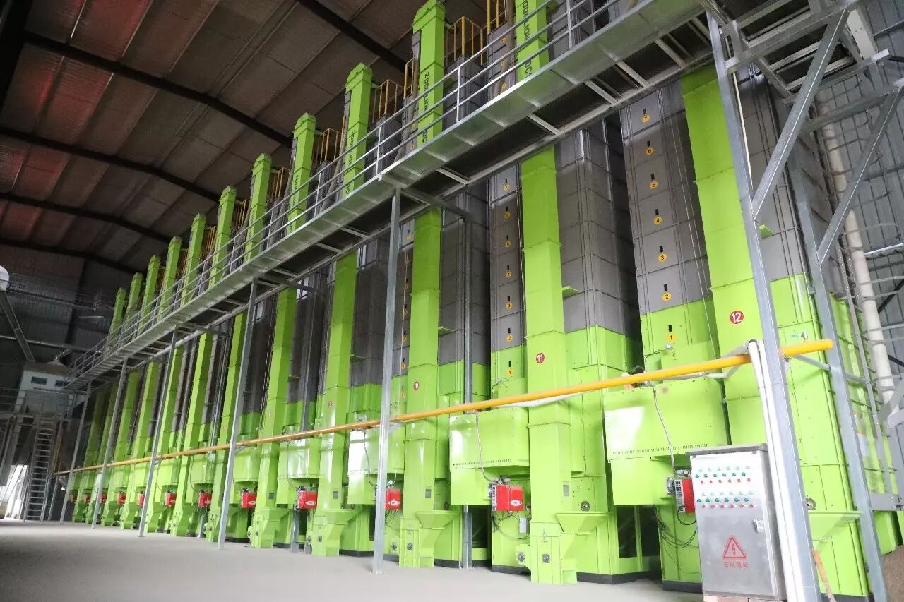 企业|夏粮烘干如火如荼,谷王绿色环保装备实力担当