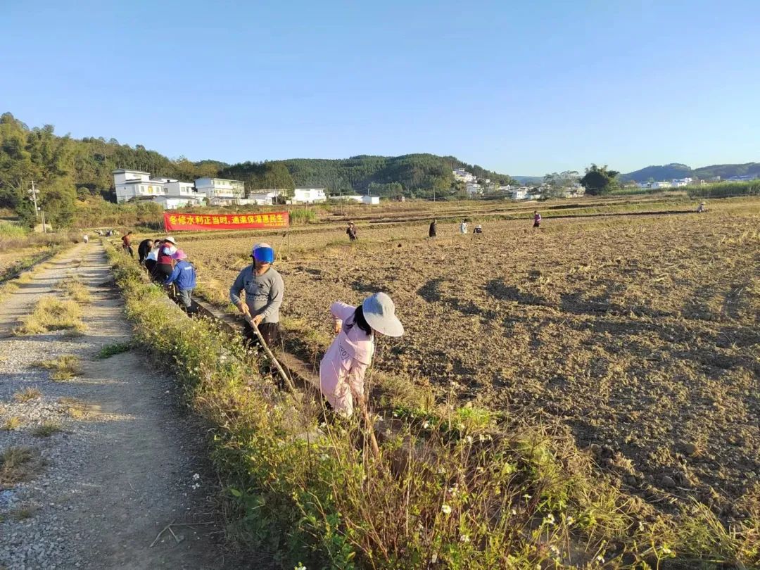 柳州市鱼峰区白沙镇图片