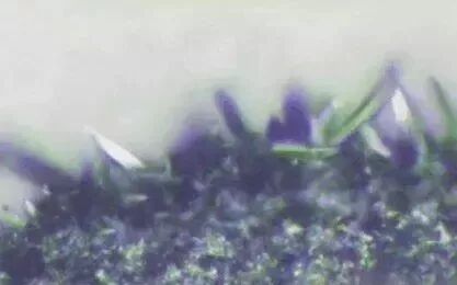 干货｜关于电感线圈你一定要知道的事儿的图6