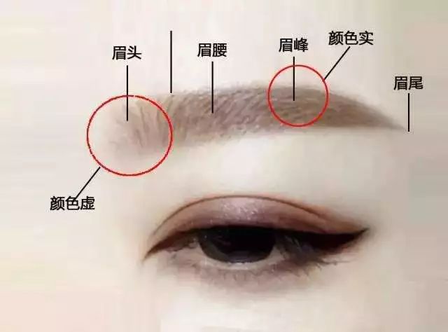 如果 眉梢部位眉毛柔弱稀少, 需以比较深色的线条制造出与眉毛前区