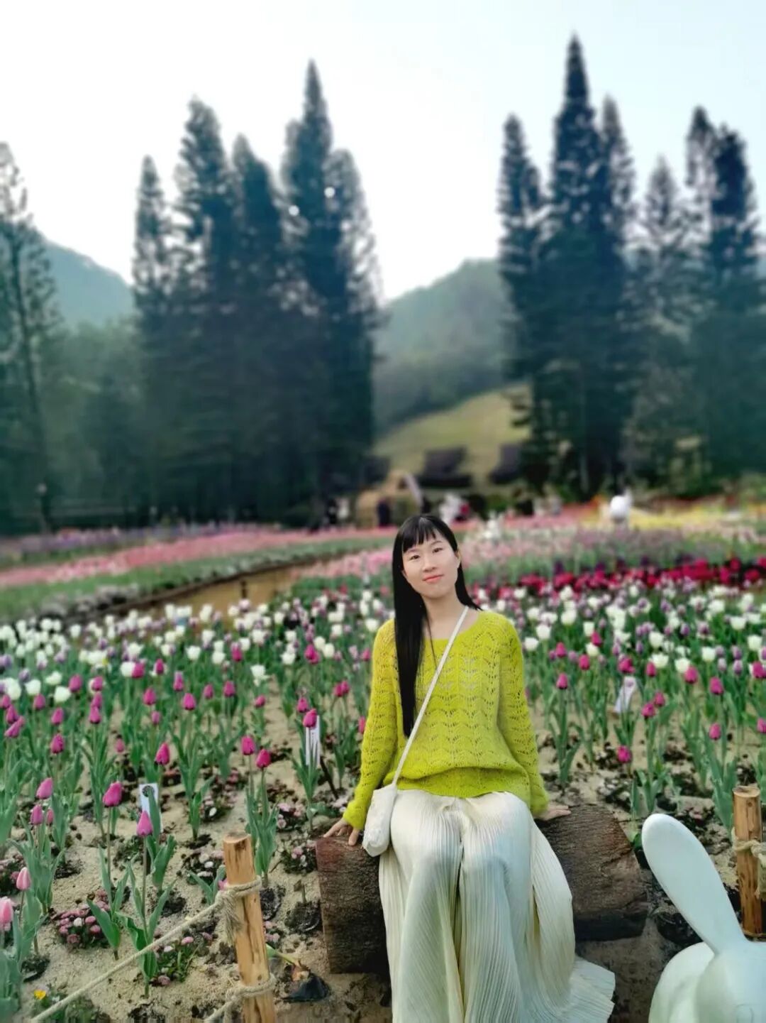 董珊珊