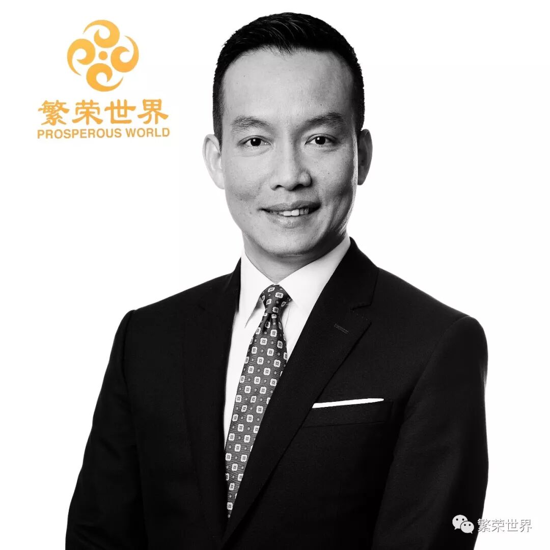 中资开发商地块购买量逐渐减少 总销售量下滑至33% - 3