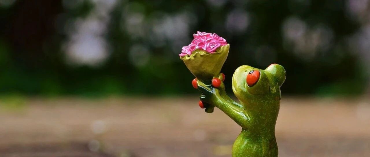 世界单身最久的青蛙去年就脱单了；蛇咬了狗，狗咬了人，男子紧急求医 | 今日涨知识