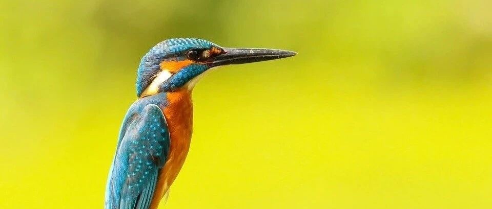 看冻伤要挂烧伤科；9个来自自然灵感的技术｜今日涨知识