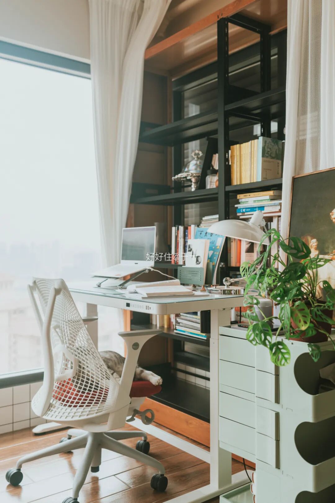 阳台这么装，比多买10㎡还值！