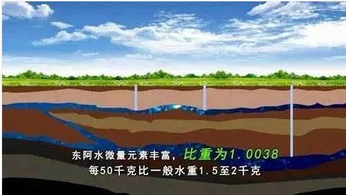 武漢天天好生物