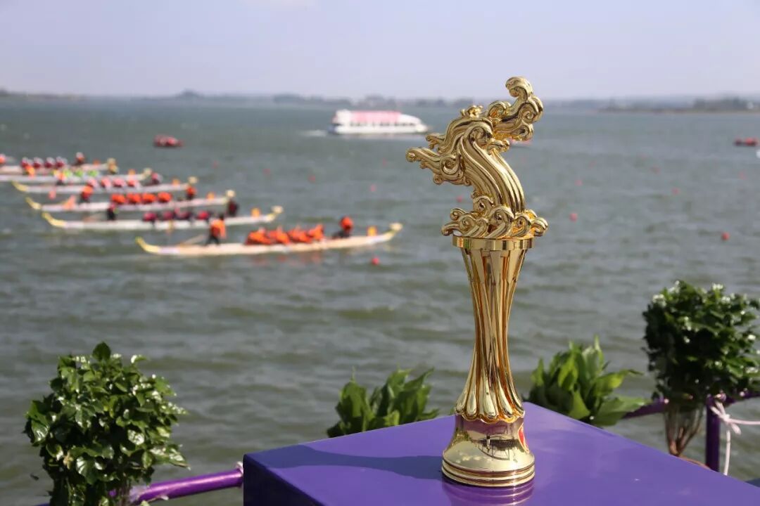 喜讯 | 盐城大洋湾龙舟队斩获三项冠军！