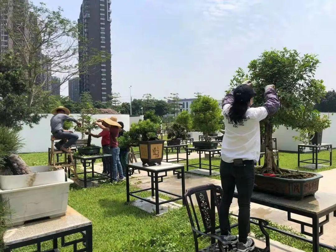 广州华南商贸职业学院怎么样_广州华南商贸职业学院多大_广州华南商贸职业学费