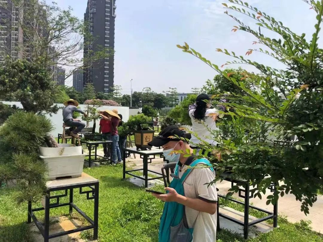 广州华南商贸职业学院怎么样_广州华南商贸职业学院多大_广州华南商贸职业学费