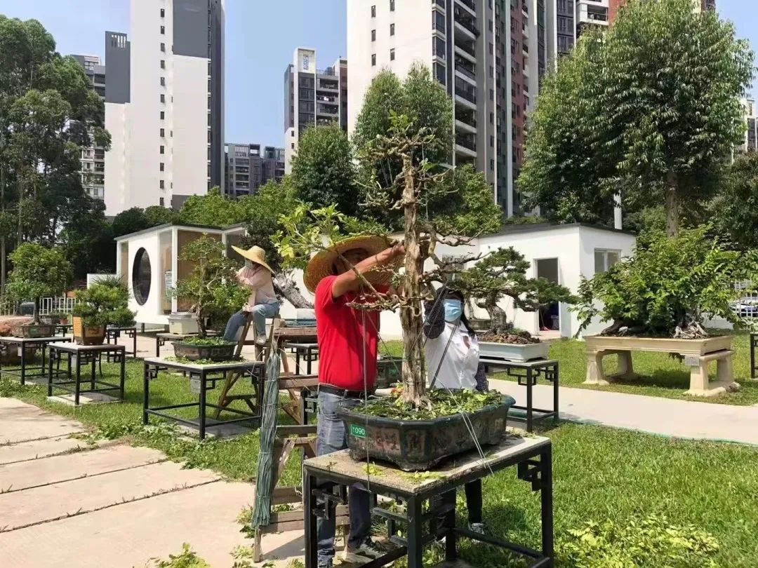 广州华南商贸职业学院怎么样_广州华南商贸职业学费_广州华南商贸职业学院多大