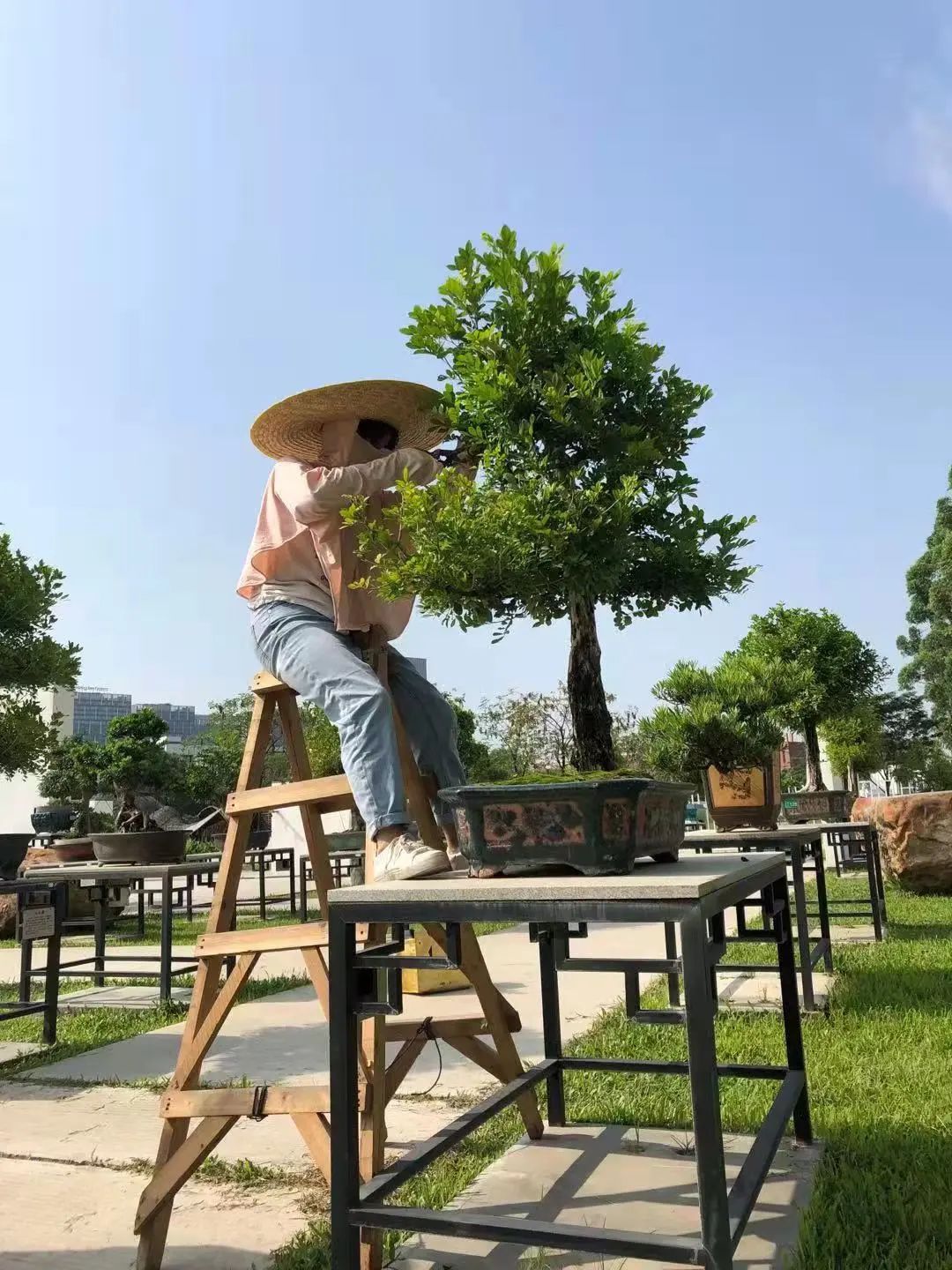 广州华南商贸职业学院怎么样_广州华南商贸职业学院多大_广州华南商贸职业学费