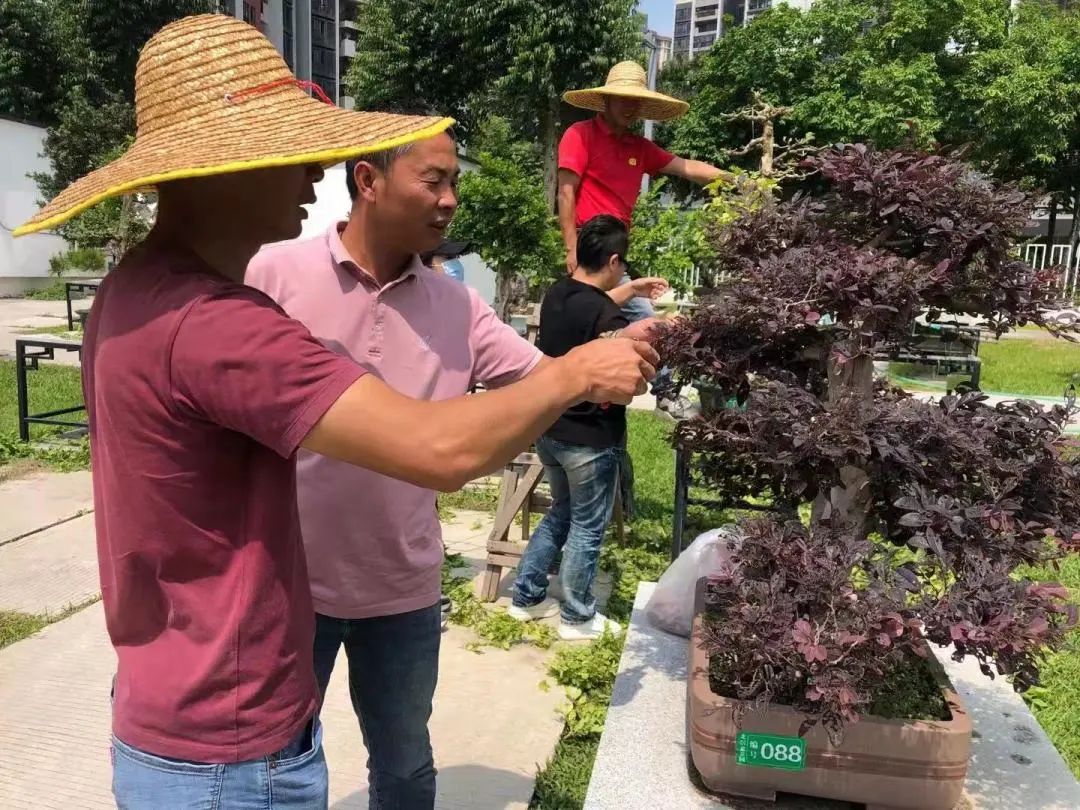 广州华南商贸职业学院多大_广州华南商贸职业学院怎么样_广州华南商贸职业学费